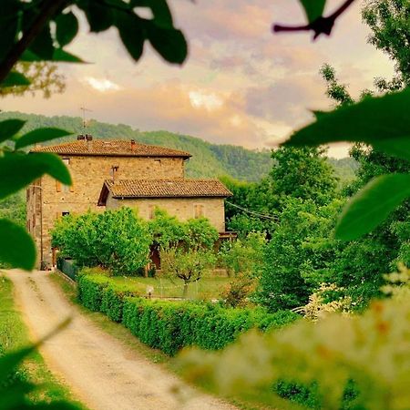 Апартаменты La Teggia Monte San Pietro Экстерьер фото